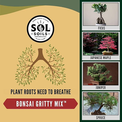 Sol Soils Gritty Bonsai Soil Potting Mix - Fast Draining and Peat Moss Free with Pine Bark, Granite, Pumice, & Calcined Clay for Indoor and Outdoor Plants - 1 Gallon