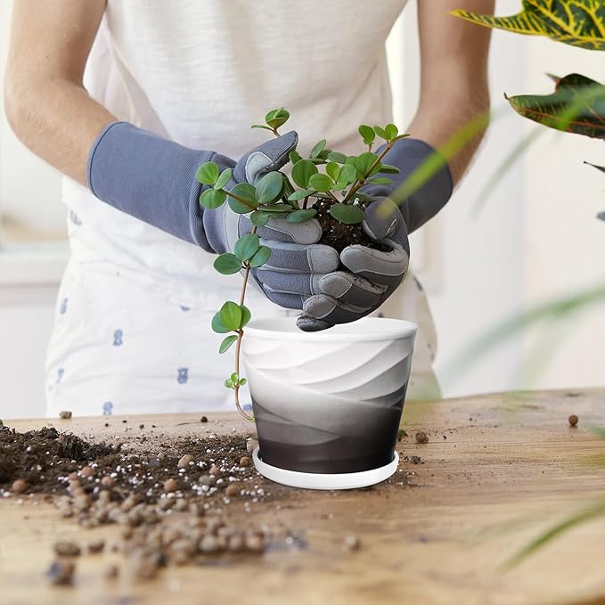 Ceramic Plant Pots,5 Inch,Set of 4,Planters with Drainage Hole and Saucer,Flower pots for Indoor Plants,Modern Design(5.5 in Diameter)
