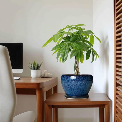 8 Inch Plant Pot - Ceramic Planter for Indoor Plants Outdoor, Round Planter with Drainage Hole and Saucer, Modern Decorative Flower Pots, Home Office Room Decor, Plant Lovers Gifts, Blue
