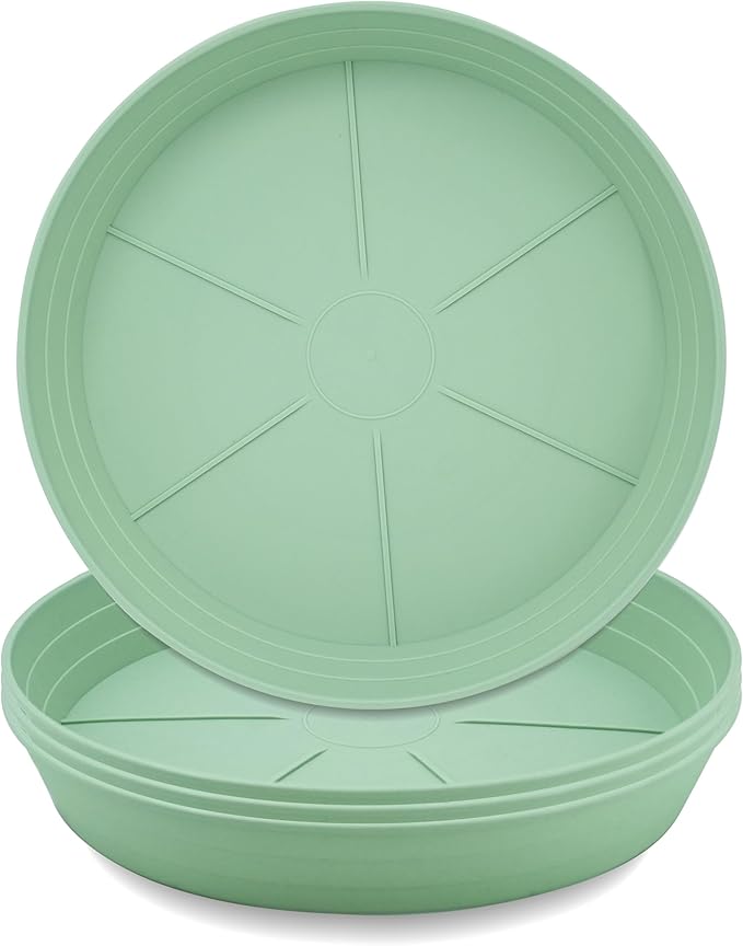 Plant Saucer 6 Inch 4 Pack 6 8 10 12 14 16 18 20 25, Plastic Plant Trays for Pots，Extra-Deep Plant Water Dray Tray, Bird Bath Bowl, Heavy Flower Plant Saucers Indoors and Outdoor No Holes