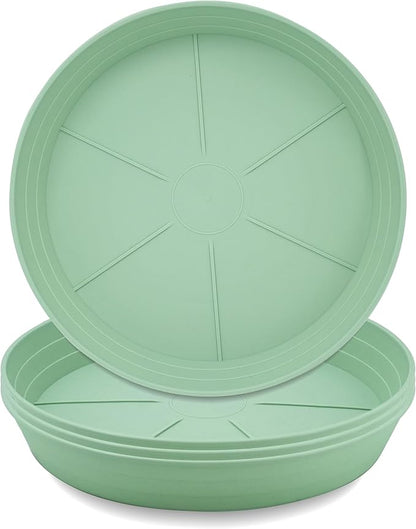 Plant Saucer 6 Inch 4 Pack 6 8 10 12 14 16 18 20 25, Plastic Plant Trays for Pots，Extra-Deep Plant Water Dray Tray, Bird Bath Bowl, Heavy Flower Plant Saucers Indoors and Outdoor No Holes