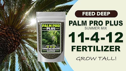 Fertilizer Commercial Grade | Palm Pro Plus Summer Mix 11-4-12 | 3 Pounds | Professional Tropical Palm Tree Feed | 3–4 Month Granular Slow Release Feed Delivery | Topdress Water in | Warm Season