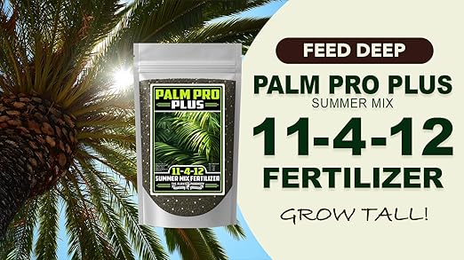 Fertilizer Commercial Grade | Palm Pro Plus Summer Mix 11-4-12 | 1 Pound | Professional Tropical Palm Tree Feed | 3–4 Month Granular Slow Release Feed Delivery | Topdress Water in | Warm Season