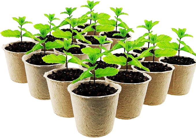 Woohome 202 PCS Peat Pots and Peat Pellet Fiber Soil Plant with Plant Label, Round Peat Pots and 30MM Peat Soil Pellets, Plastic Plant Tags and Loose Soil Tool for Home Plant Starters