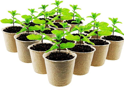 Woohome 202 PCS Peat Pots and Peat Pellet Fiber Soil Plant with Plant Label, Round Peat Pots and 30MM Peat Soil Pellets, Plastic Plant Tags and Loose Soil Tool for Home Plant Starters