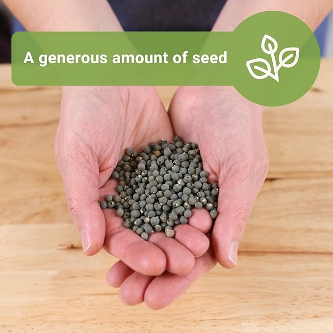 Sow Right Seeds - Bulk Clemson Spineless Okra Seeds for Planting - 1 Ounce, 525 Seeds - Non-GMO Heirloom Jumbo Pack with Instructions to Plant a Home Garden - Make Fried Okra - Abundance of Greens