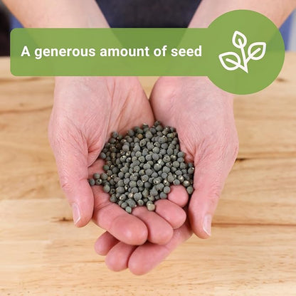 Sow Right Seeds - Bulk Clemson Spineless Okra Seeds for Planting - 1 Ounce, 525 Seeds - Non-GMO Heirloom Jumbo Pack with Instructions to Plant a Home Garden - Make Fried Okra - Abundance of Greens