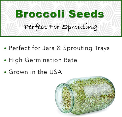 1 lb Broccoli Sprouting Seeds - Perfect for Sprouting & Microgreens, Rich in Sulforaphane, USA Grown (Resealable Bag)