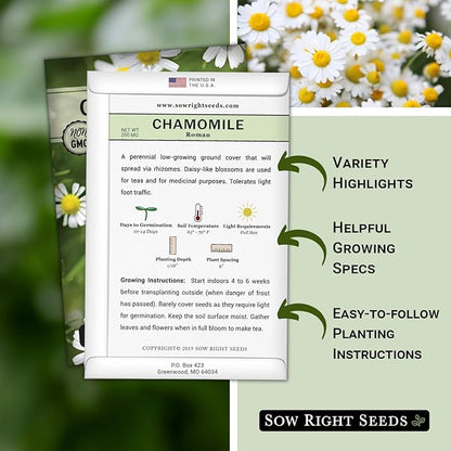 Sow Right Seeds - Roman Chamomile Seeds for Planting - Non-GMO Heirloom Packet with Instructions to Grow an Herbal Tea Garden - Indoors or Outdoor - Low Growing with Small Daisy-Like Blooms (2)