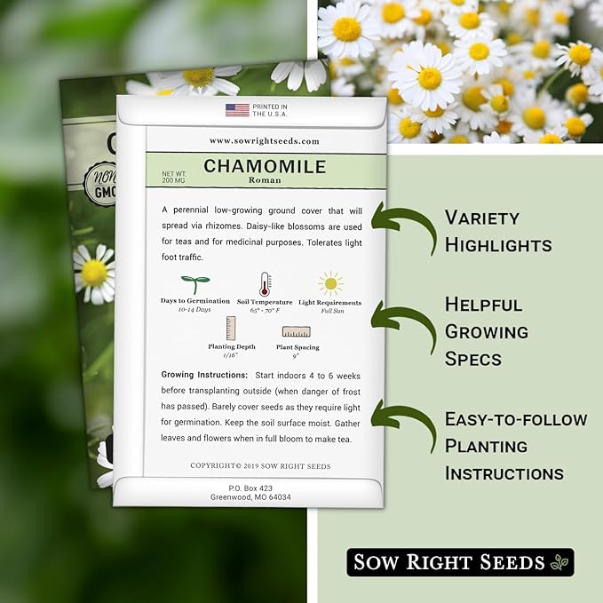 Sow Right Seeds - Roman Chamomile Seeds for Planting - Non-GMO Heirloom Packet with Instructions to Grow an Herbal Tea Garden - Indoors or Outdoor - Low Growing with Small Daisy-Like Blooms (3)