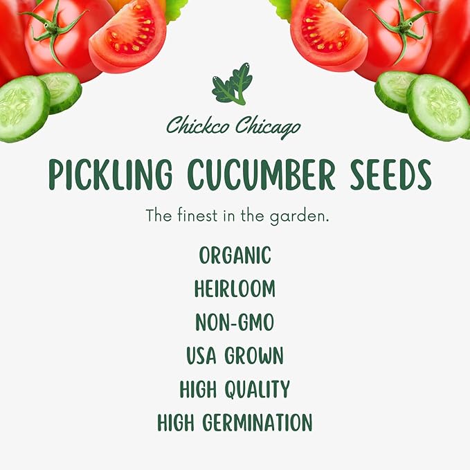 Over 150 Pickling Cucumber Seeds – Organic Heirloom, Non-GMO, High Germination Rate – Perfect for Planting in Home Gardens & Fresh Pickles