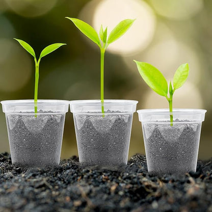 GREANER 60 Pcs Nursery Pots for Plants, 2.4 Inch Small Starter Seed for Seedling, Transparent Plastic Plant Pots with Bonus 20 Plant Labels-Clear