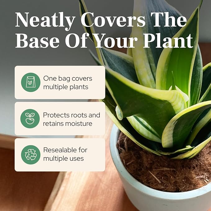 Urban Thumb and Co Ultra Fine Garden Plant Mulch - Top Cover for Indoor / Outdoor Potted House Plants - Compact Size,Potting Mix for Urban Plant Lovers- 3.25 Quarts