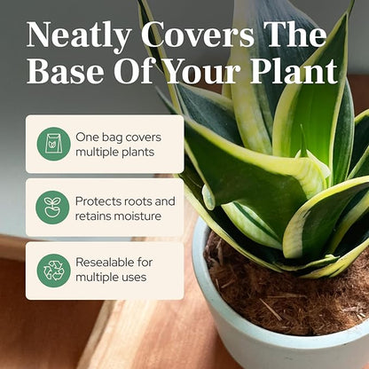 Urban Thumb and Co Ultra Fine Garden Plant Mulch - Top Cover for Indoor / Outdoor Potted House Plants - Compact Size,Potting Mix for Urban Plant Lovers- 3.25 Quarts