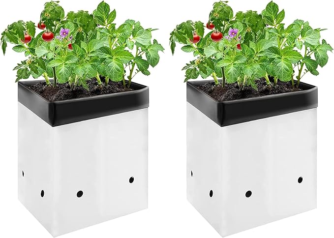 VIVOSUN 100-Pack 3 Gallon Grow Bags for Plants, Black-and-White Thick Plastic Bags for Potting Seedlings, and Rooting