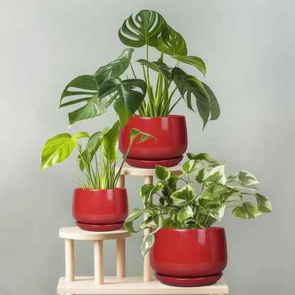 G EPGardening Ceramic Planter 7 Inch - Flower Pots for Indoor Plants, Round Planter with Drainage and Ceramic Tray, Modern Plant Pot, Bathroom Decor, Teacher Gifts, Red
