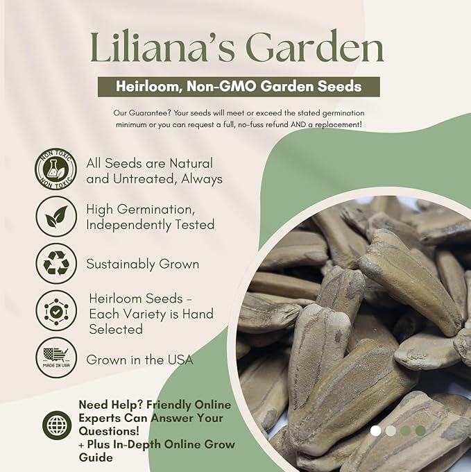 Corsican Gourd Seeds – Hard-Shelled Basket Type Gourds with Thick Walls | Liliana's Garden |