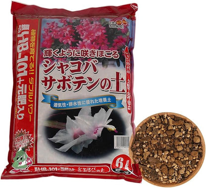 Japanese Cactus, Succulent & Aloe Vera Potting Soil Mix - 6L Peat-Free