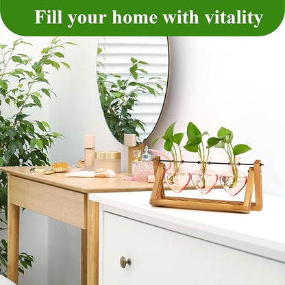 XXXFLOWER Plant Terrarium Propagation Stations Unique Gifts for Women Wife Mom Plant Lovers 3 Heart Shaped Vases for Hydroponics Home Garden Office Decor(Plants NOT Included)