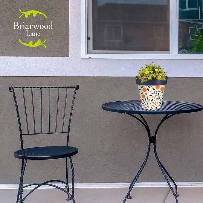 Briarwood Lane Citrus and Vines Small Planter