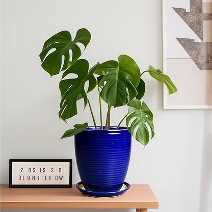 Round Ceramic Planter - Modern 8 Inch Plant Pot with Drainage Hole and Tray for Flower Indoor Outdoor Garden Decor Blue