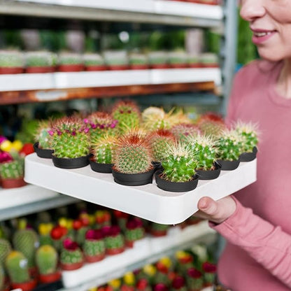 KINGLAKE GARDEN Small Black Plastic Pots,50 Packs 2 Inch Small Plant Pots with Drainage Holes,Mini Nursery Plastic Plant Planters for Succulents,Indoor Outdoor Plant