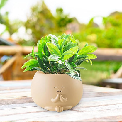 Face Plant Pots, Succulent Pots, 4.5 Inch Head Planters for Indoor, Cute Resin Flower Pots with Drainage Hole, Unique Cactus Planter, Small Planter Pot for Mini Plant (1 Pack)