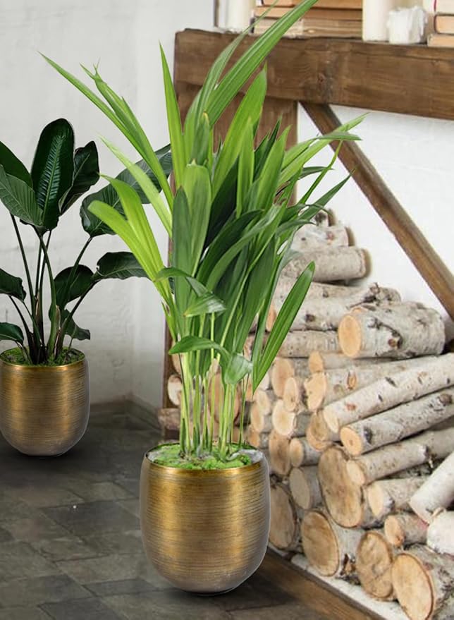 Serene Spaces Living Brass-Toned Aluminum Cachepot Planters, Handcrafted in India, Elegant Wedding, Home & Office Decor, Vintage Planter for Indoor Plants, Flowers, Table Centerpieces, Large, Set of 2