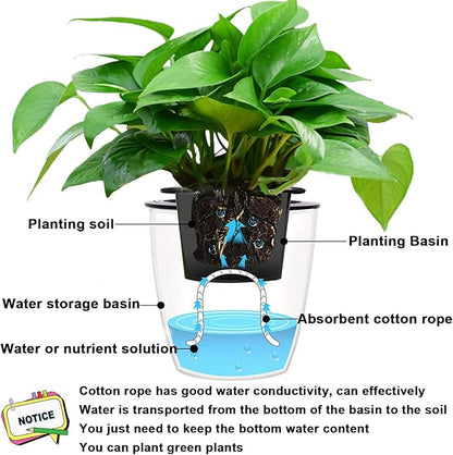 Augshy 1/6 Inches Self Watering Wick Cord String Cotton Rope for DIY Plant Automatic Watering Device (40 Feet)