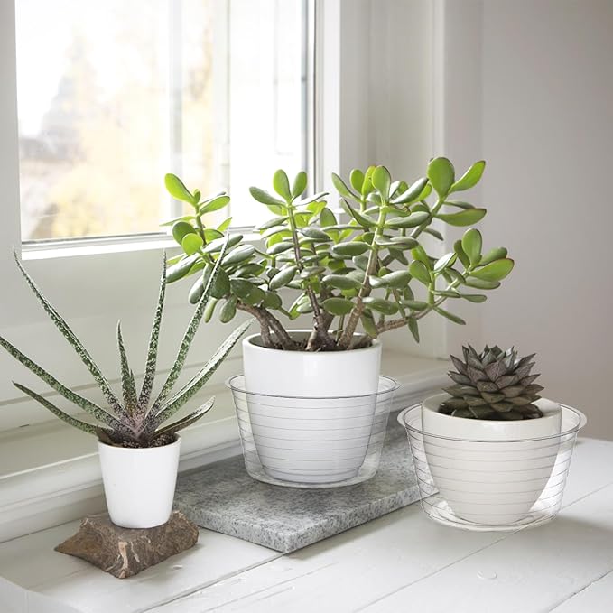 Tebery 50 Pack Clear Plastic Plant Saucer Drip Tray for Pots, 6 Inch Deep Flower Pot Saucers Water Catcher Tray Watering Trays for Plants Indoors and Outdoor