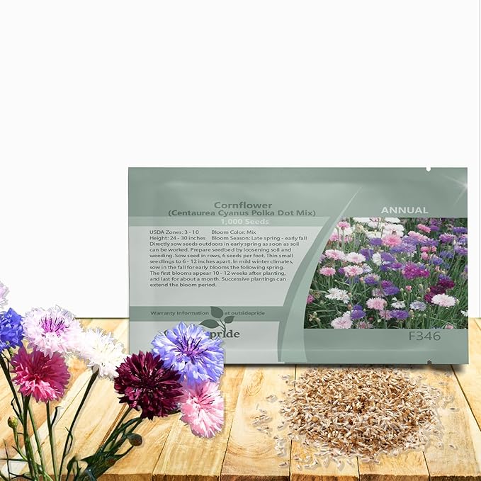 Outsidepride Polka Dot Mix Cornflower Seeds for Planting - 1000 Pcs. Annual Bachelor's Button Flower Seeds for Cut Flower Gardens, Drought-Tolerant, Attracts Pollinators, Ideal for Borders & Bouquets