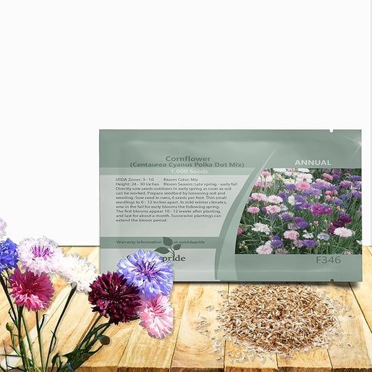 Outsidepride Polka Dot Mix Cornflower Seeds for Planting - 2000 Pcs. Annual Bachelor's Button Flower Seeds for Cut Flower Gardens, Drought-Tolerant, Attracts Pollinators, Ideal for Borders & Bouquets