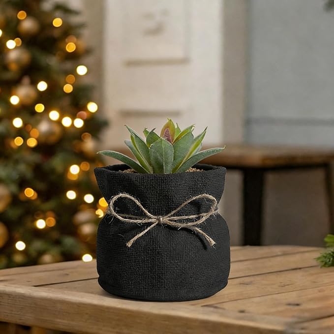 Succulent Pots Flower Pots for Indoor Plants Cute Plant Pots Candy Bowl for Office Key Holder Bowl Farmhouse Table Decor (Black)