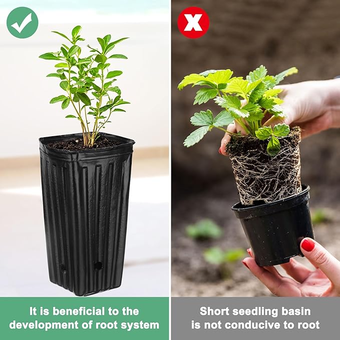100-Pack Plant Nursery Pots, 3.94x3.94x7.87 Inch Plastic Deep Growing Nursery Pots Succulent Planter Flower Tree pots with Drainage Holes for Indoor Outdoor Gardening [Black]