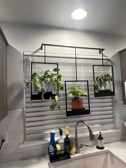 Wall Planters for Indoor Plants Wall Plant Holder Frame Plant Wall Hanger Window Plant Hanger for Livingroom Entryway (1)