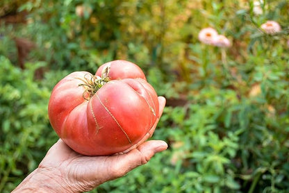Premium Organic Compost - Nutrient Rich Soil Amendment for Gardens, Flowers, & Vegetables - Improves Soil Structure & Balance - Resealable Bag (7lb)