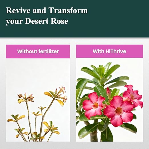 Desert Rose Liquid Fertilizer – Natural Probiotic Plant Food for Adenium, 300ml Bottle with Measuring Cap, Organic Nutrient Boost for Greener Leaves, Strong Roots & Vibrant Blooms