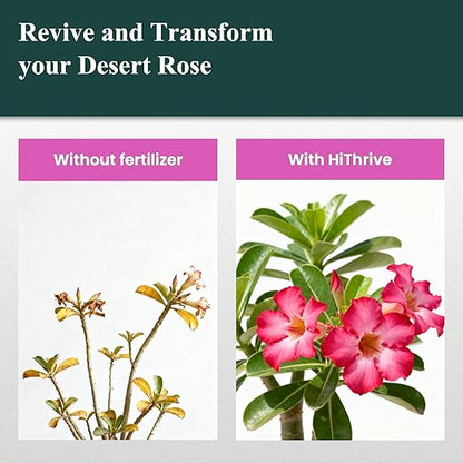 Desert Rose Liquid Fertilizer – Natural Probiotic Plant Food for Adenium, 300ml Bottle with Measuring Cap, Organic Nutrient Boost for Greener Leaves, Strong Roots & Vibrant Blooms