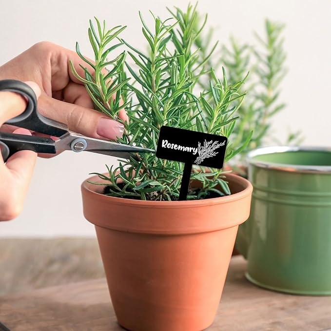 JarThenaAMCS 24Pcs Acrylic Plant Label Signs 12 Styles Garden Herb Markers Black Waterproof Reusable T-Type Tags Plant Stake Tags with Names for Nursery Indoor Outdoor Garden Decor