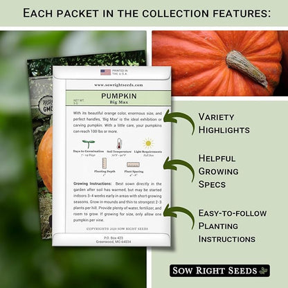 Sow Right Seeds - Classic Pumpkin Seed Collection for Planting - Small Sugar, Casper & Big Max Pumpkin Seeds - Non-GMO Heirloom Packets with Instructions to Plant Home Vegetable Garden - Fall Harvest