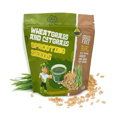 Todd's Seeds - Bundled Wheatgrass Seeds, 1Lb & Mung Bean Sprouting Seeds, 1Lb, Total of 2Lbs