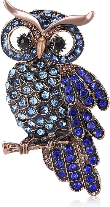 Rhinestone Owl Brooch Pin for Women Cute Big Cartoon Cat Eye Stone Owl Bird Brooch Unique Double Owl Brooch Pin Clothes Bag Hat Dress Jewelry