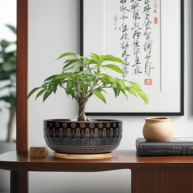 Bonsai Planter - 8 Inch Ceramic Pots for Plants Indoor, Shallow Round Succulent Bowl with Drainage Hole and Tray for Cactus, Boho Room Garden House Decor, Birthday Gifts, Black