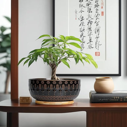 Bonsai Planter - 8 Inch Ceramic Pots for Plants Indoor, Shallow Round Succulent Bowl with Drainage Hole and Tray for Cactus, Boho Room Garden House Decor, Birthday Gifts, Black
