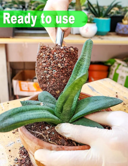 TOYPOPOR Succulent Soil, Cactus Potting Mix 6 Pounds/3QTS, High Drainage, Pre-Mixed Ready to Use for All Succulent Varieties, Indoor Plants, Bonsai, Terrarium, Houseplant, 70% Particles 30% Soil