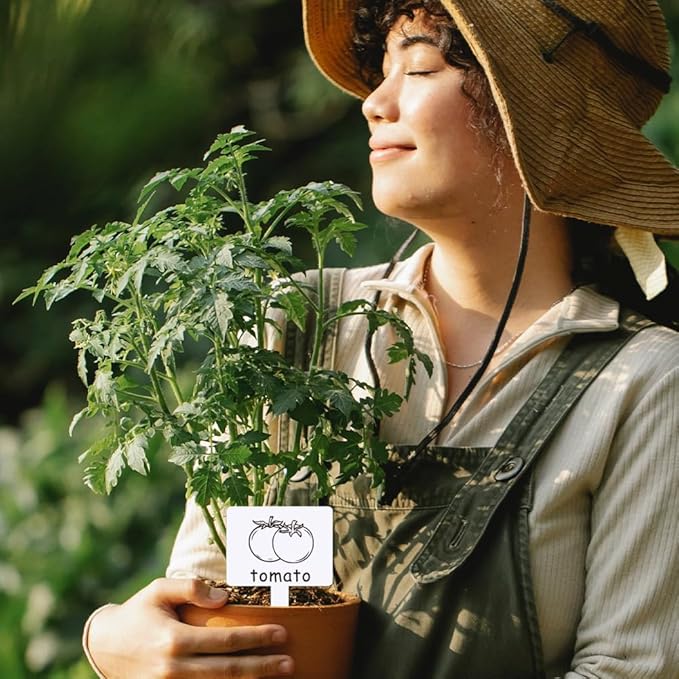arricraft 15 Pcs Acrylic Plant Label Signs, Vegetable Themed Waterproof Garden Stake Labels T-Shaped Plant Marker with Vegetable Names for Indoor Outdoor Potted Plants Nursery Marker Decoration