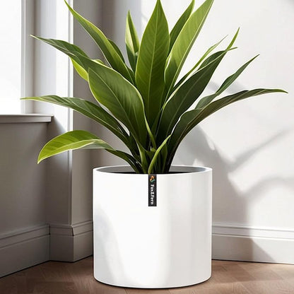 Fox & Fern Large 12 Inch Plant Pot with Drainage Plug — Premium Polystone Matte White Planter; Large Indoor & Outdoor Planter; 12 Inch Pots for Plants; Weather Resistant & UV Resistant
