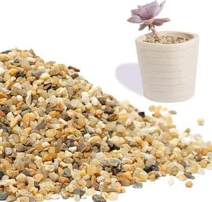 Coarse Sand Stone - Succulents and Cactus Bonsai DIY Projects Rocks, Decorative Gravel for Plants and Vases Fillers，Terrarium, Fairy Gardening, Natural Stone Top Dressing for Potted Plants.