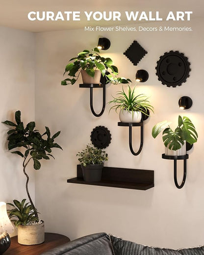 Bamworld Wall Decor Plant Stand with Lights Wall Art Planters Window Plant Hanger Indoor Hanging Planters for Indoor Plants for Living Room Black