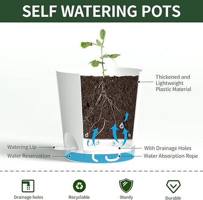 4 Inch 10 Pack Small Self Watering Pots for Indoor Plants, Nursery Pot with Drainage Holes and Saucers, Plastic Small Flower Planter for Succulent, Aloe, Cacti and More (White)